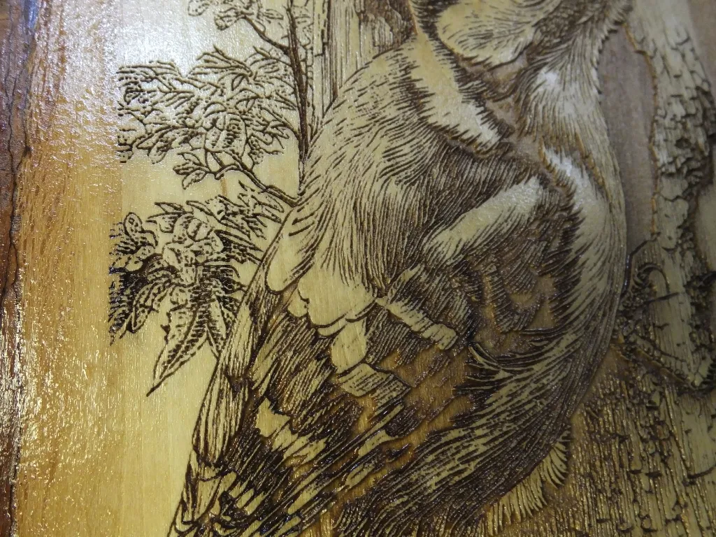 DSCF5137.webp