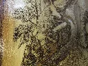 DSCF5137.webp