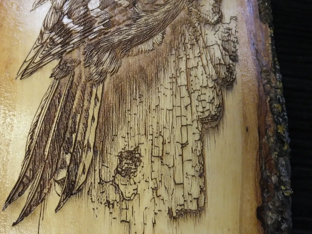 DSCF5138.webp