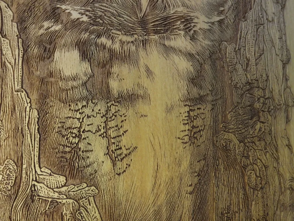 DSCF5148.webp