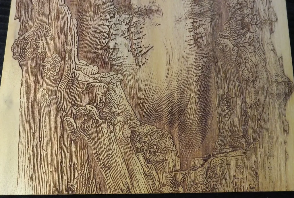 DSCF5149.webp