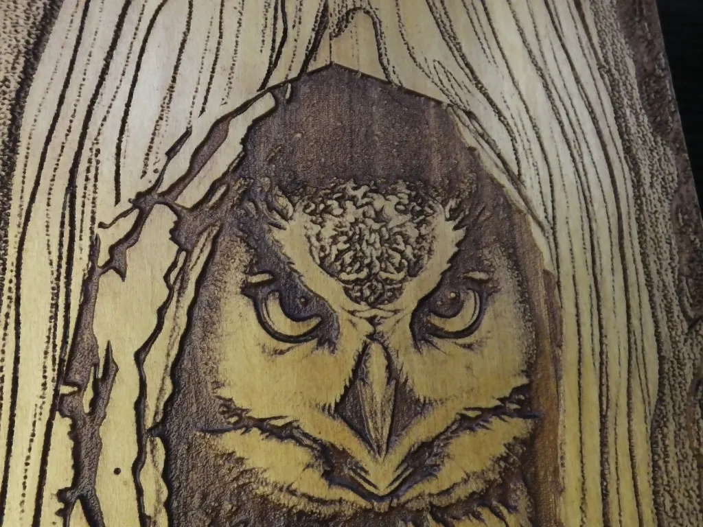 DSCF5152.webp