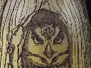DSCF5152.webp