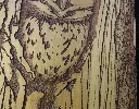 DSCF5153.webp