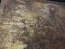 DSCF5163.webp