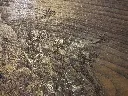 DSCF5162.webp
