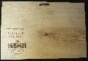 DSCF5167.webp