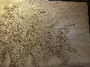 DSCF5051.webp