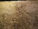 DSCF5048.webp