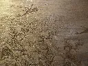 DSCF5050.webp