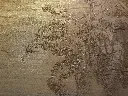 DSCF5049.webp
