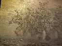 DSCF5052.webp