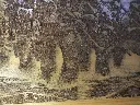 DSCF5171.webp