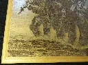 DSCF5172.webp