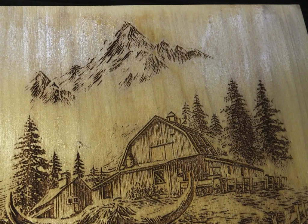 DSCF5178.webp