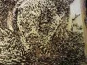DSCF5200.webp