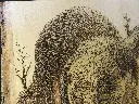 DSCF5202.webp