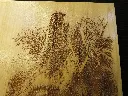 DSCF5211.webp