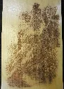 DSCF5213.webp