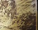 DSCF5219.webp