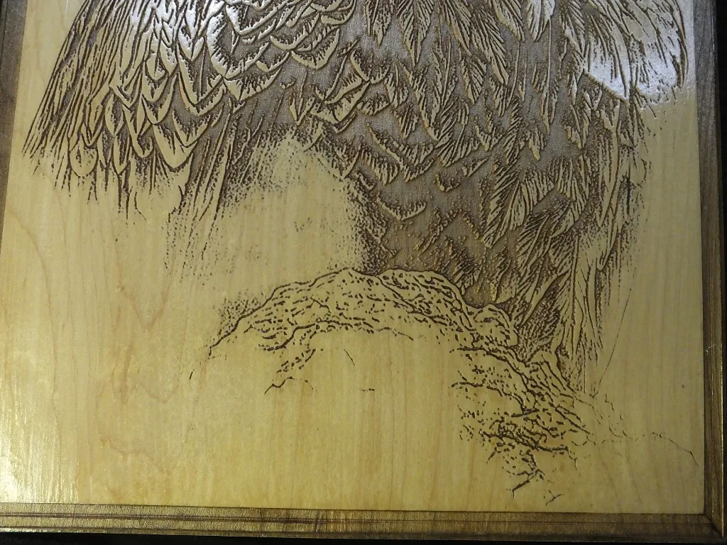 DSCF5228.webp