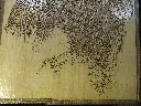 DSCF5228.webp
