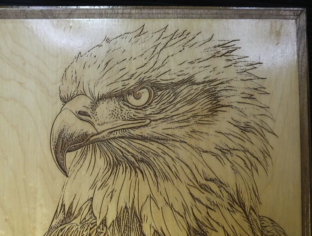 DSCF5225.webp