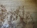 DSCF5245.webp