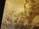 DSCF5242.webp
