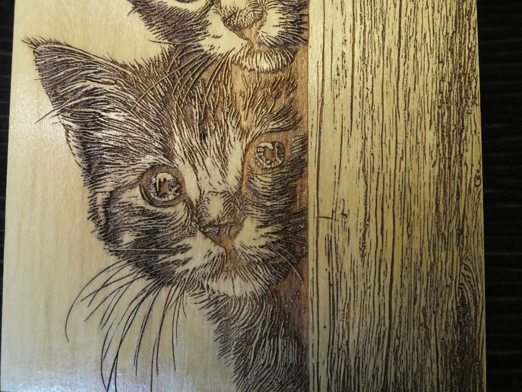 DSCF5237.webp