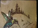 DSCF5252.webp