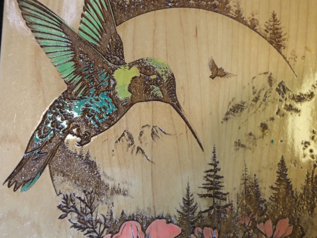 DSCF5251.webp