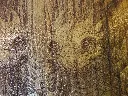 DSCF5271.webp