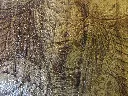 DSCF5272.webp