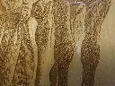 DSCF5356.webp