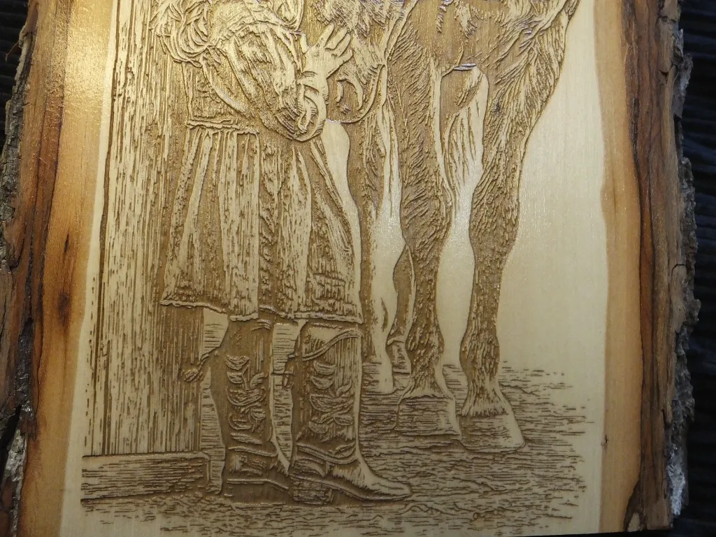 DSCF5353.webp