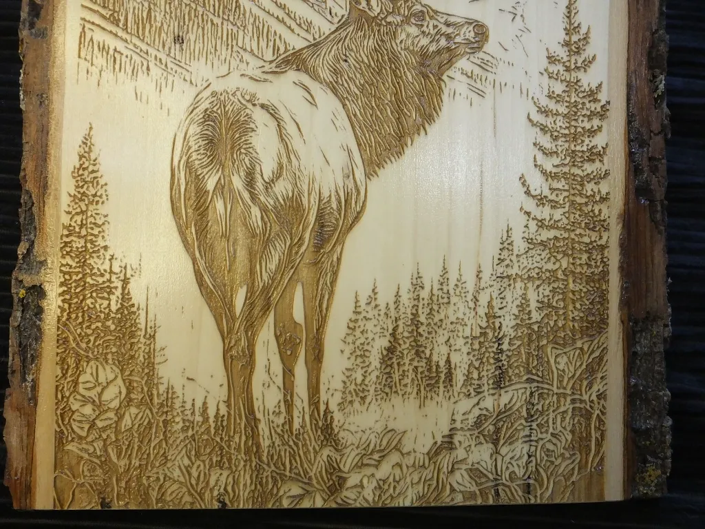 DSCF5333.webp