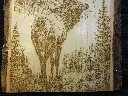 DSCF5333.webp