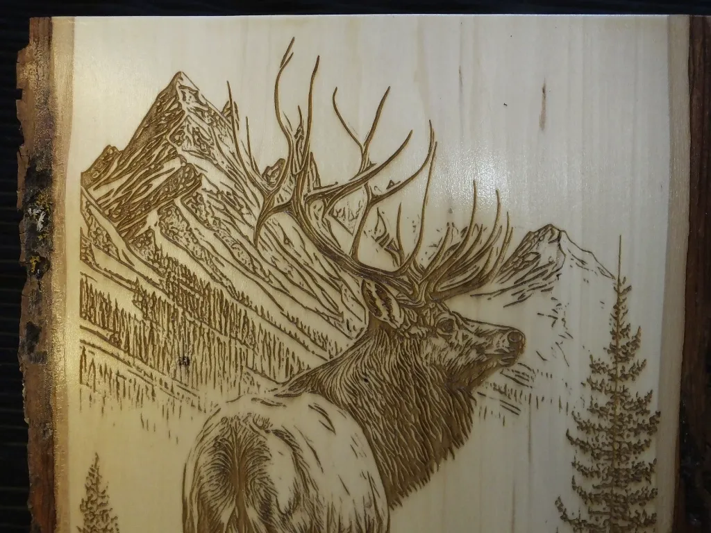 DSCF5332.webp