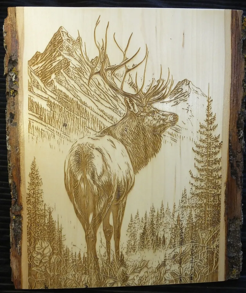DSCF5334.webp