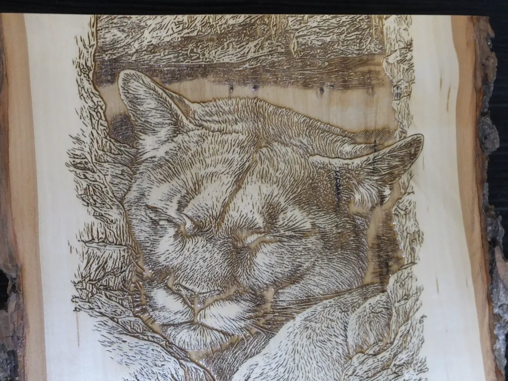 DSCF5394.webp