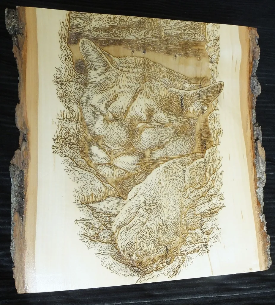 DSCF5397.webp