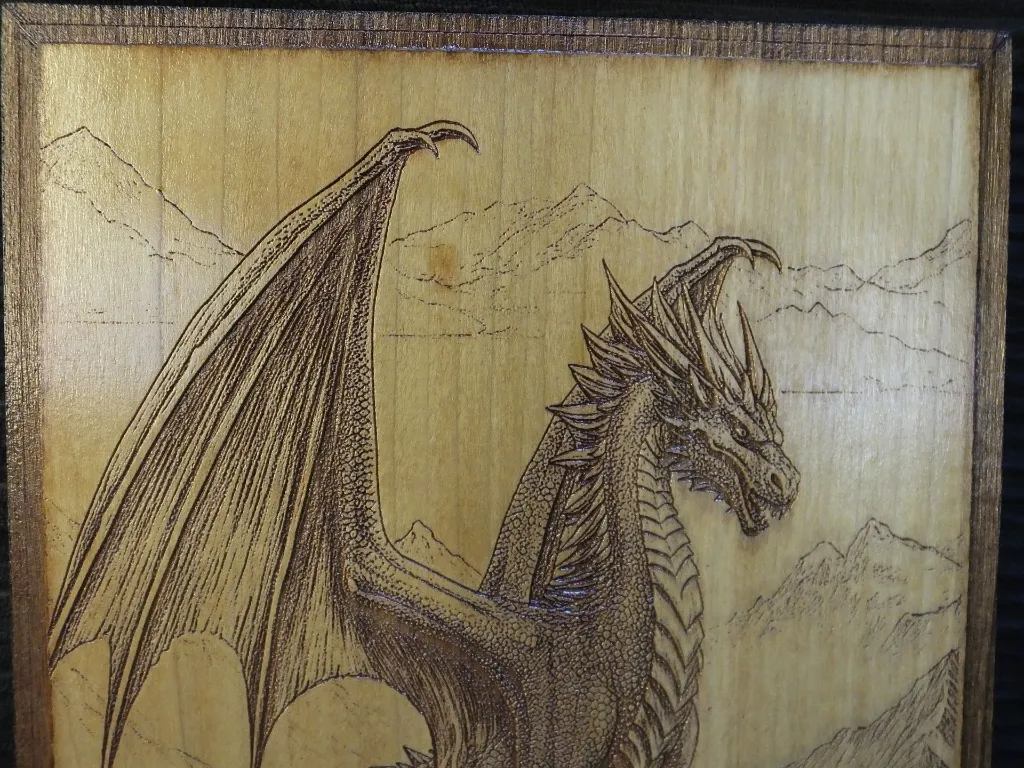 DSCF5401.webp