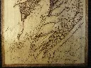 DSCF5410.webp