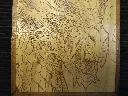 DSCF5416.webp