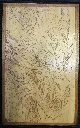 DSCF5417.webp
