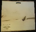 DSCF5425.webp