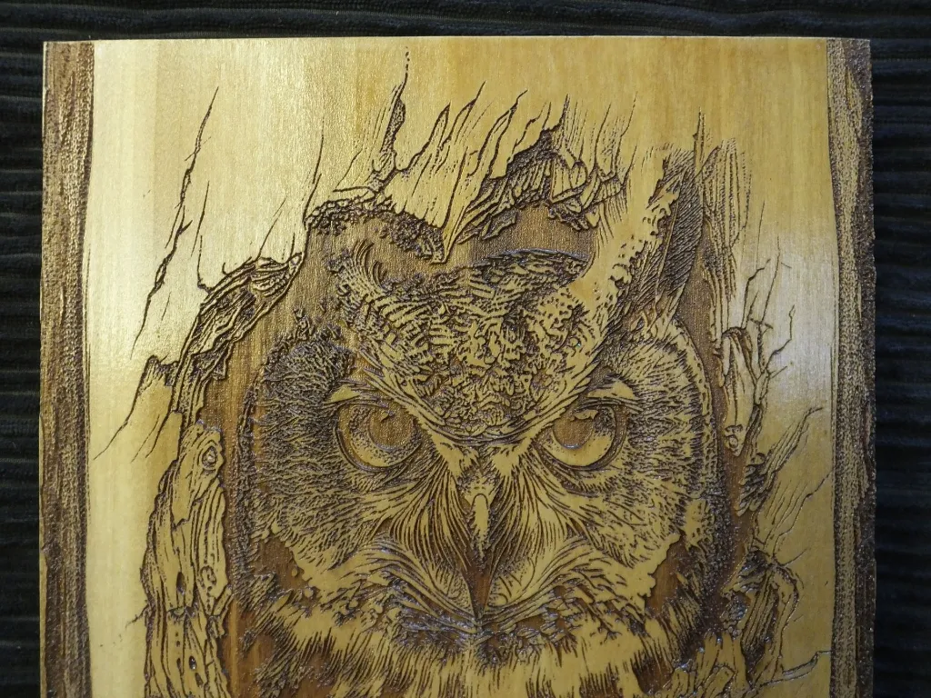 DSCF5461.webp