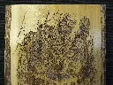 DSCF5461.webp