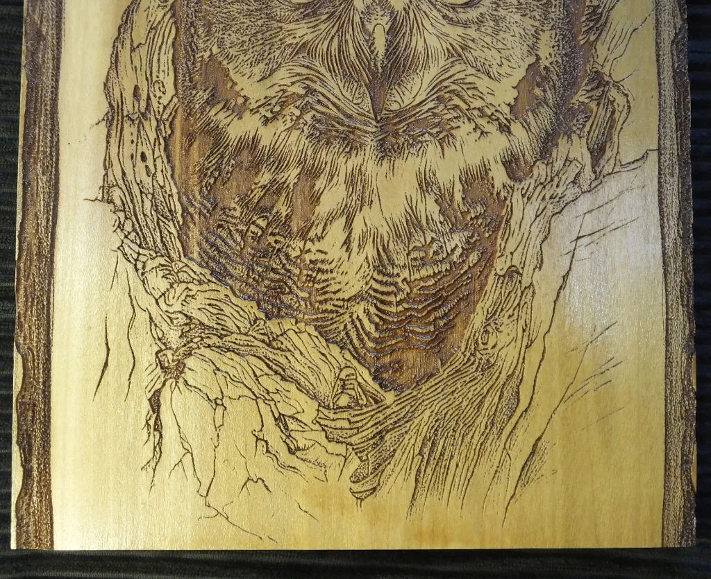 DSCF5462.webp